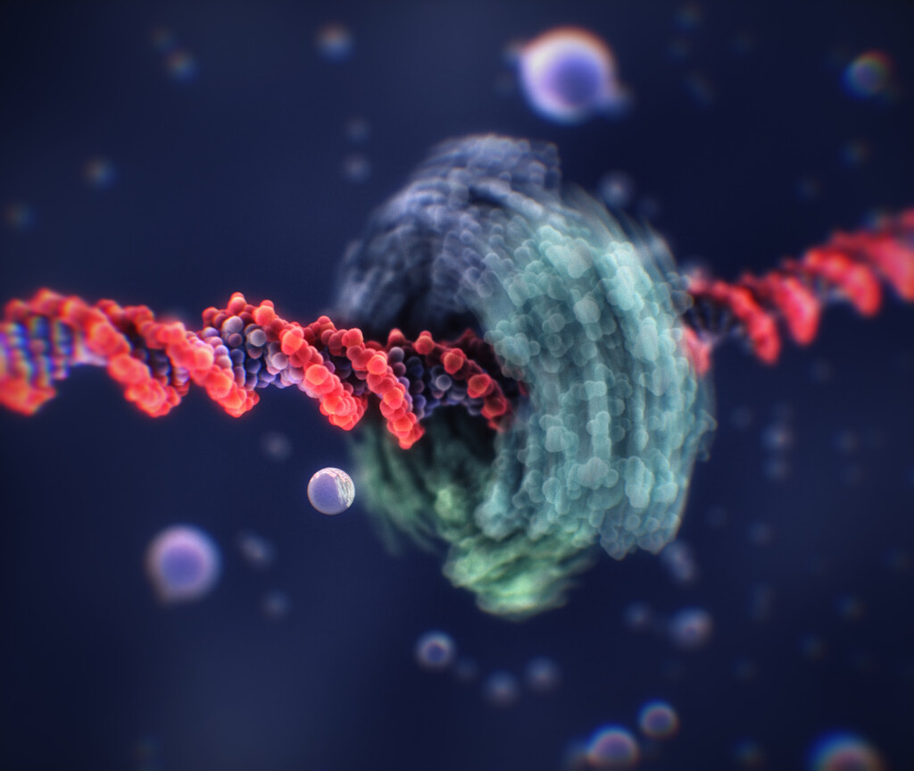 Rendering of a Proliferating cell nuclear antigen (PCNA) molecule sliding along the DNA in a rotation-coupled translation manner by Peter Mindek, Winner of the Computer Graphics Forum 2023 Cover Image Contest